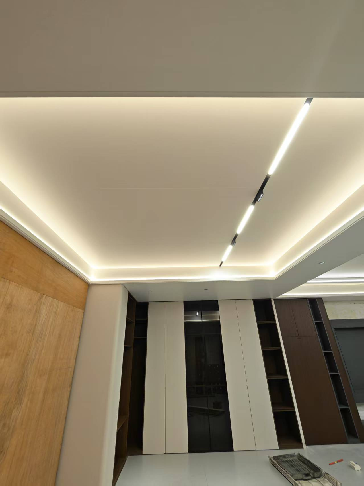 Minimalist Office Track Light Ceiling